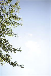 ヘアカット専門店　GRAND PARK 東京 目黒区 東急 自由が丘店 店内6　1000円カット