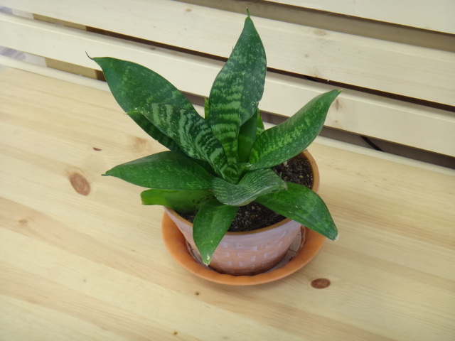 ヘアカット専門店　GRAND PARK 東京　東急桜新町店　1000円カット