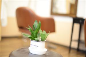 ヘアカット専門店　GRAND PARK 東京 世田谷区 小田急祖師ヶ谷大蔵店 店内4　1000円カット