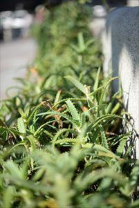 ヘアカット専門店　GRAND PARK 東京　世田谷区　東急　用賀店　店内画像3　1000円カット